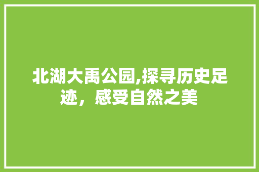 北湖大禹公园,探寻历史足迹，感受自然之美