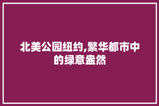 北美公园纽约,繁华都市中的绿意盎然