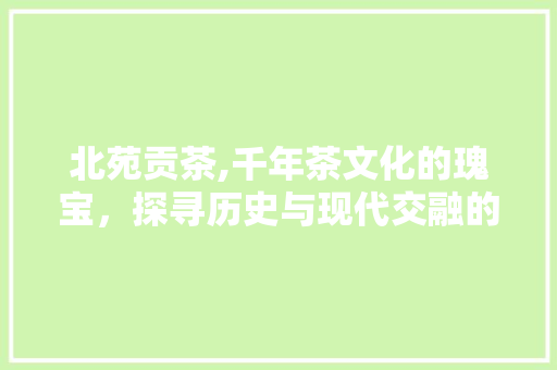 北苑贡茶,千年茶文化的瑰宝，探寻历史与现代交融的独特魅力