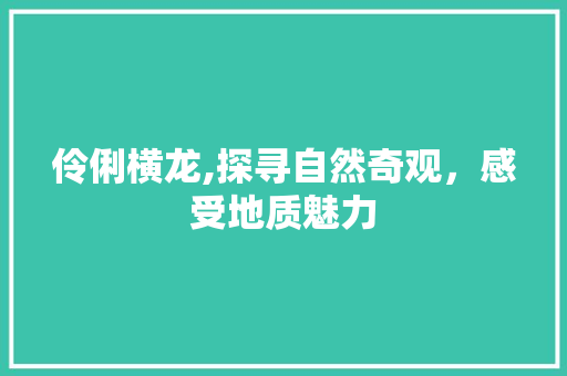 伶俐横龙,探寻自然奇观，感受地质魅力