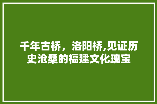 千年古桥，洛阳桥,见证历史沧桑的福建文化瑰宝