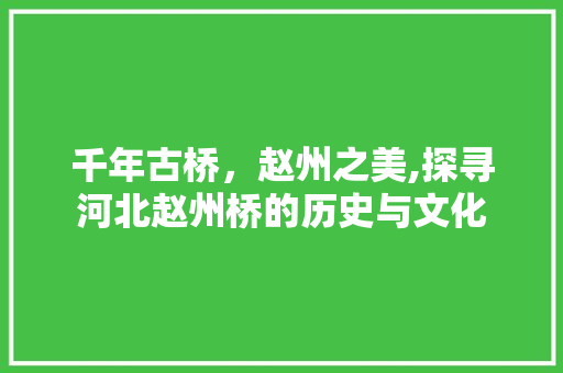 千年古桥，赵州之美,探寻河北赵州桥的历史与文化