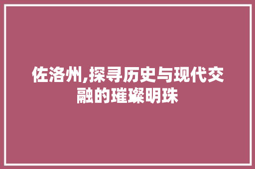 佐洛州,探寻历史与现代交融的璀璨明珠