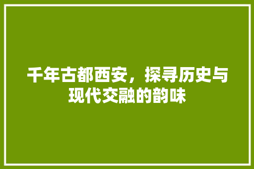 千年古都西安，探寻历史与现代交融的韵味