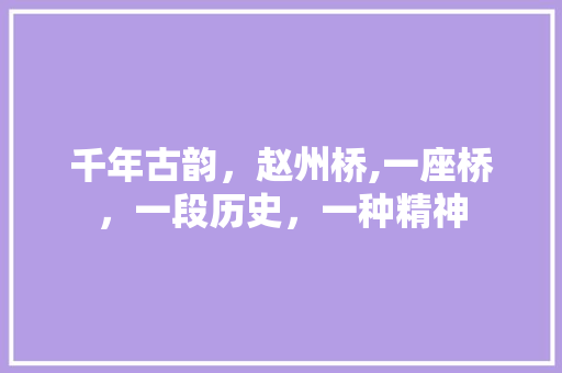 千年古韵，赵州桥,一座桥，一段历史，一种精神