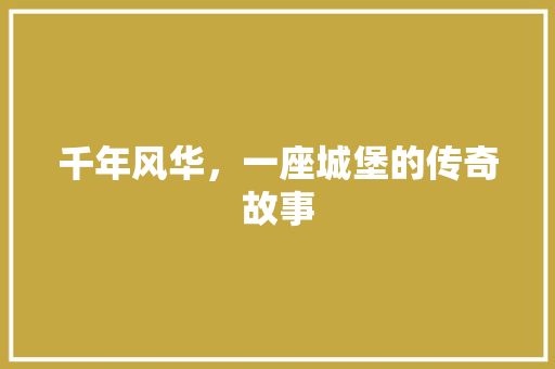 千年风华，一座城堡的传奇故事