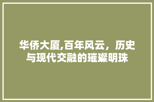 华侨大厦,百年风云，历史与现代交融的璀璨明珠