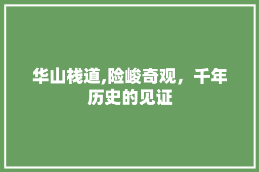 华山栈道,险峻奇观，千年历史的见证