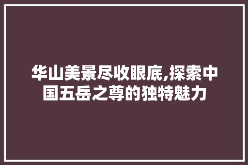 华山美景尽收眼底,探索中国五岳之尊的独特魅力