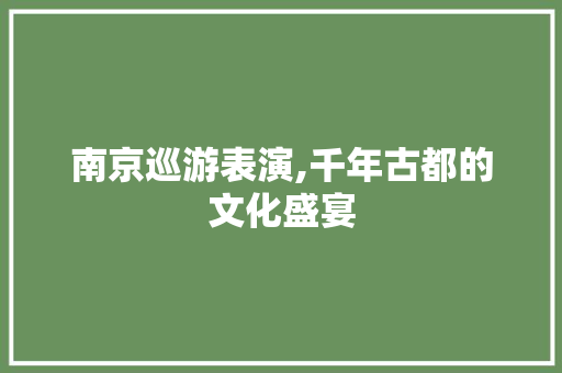 南京巡游表演,千年古都的文化盛宴