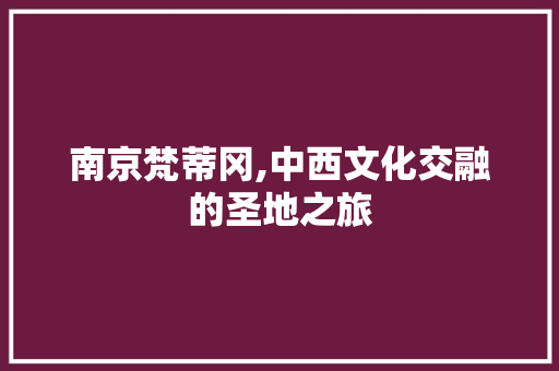 南京梵蒂冈,中西文化交融的圣地之旅  第1张