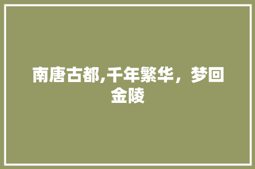 南唐古都,千年繁华，梦回金陵  第1张