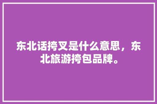 东北话挎叉是什么意思，东北旅游挎包品牌。