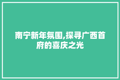 南宁新年氛围,探寻广西首府的喜庆之光