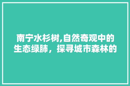 南宁水杉树,自然奇观中的生态绿肺，探寻城市森林的秘密