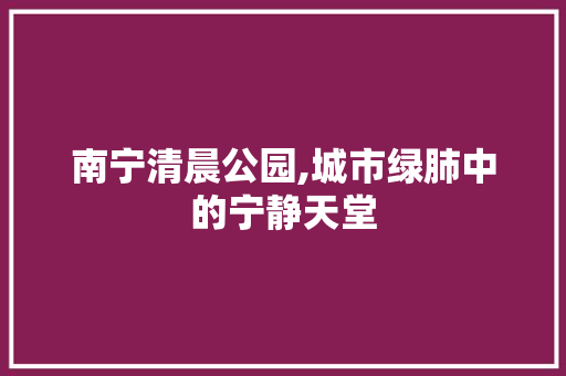 南宁清晨公园,城市绿肺中的宁静天堂