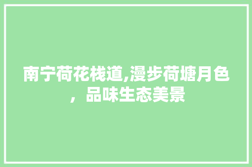 南宁荷花栈道,漫步荷塘月色，品味生态美景