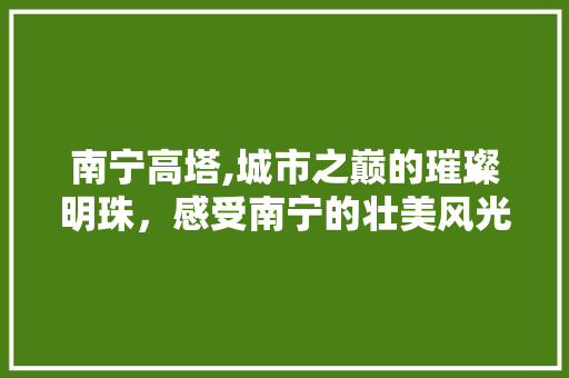 南宁高塔,城市之巅的璀璨明珠，感受南宁的壮美风光  第1张