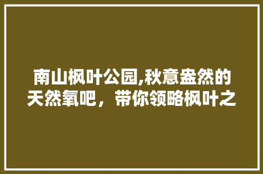 南山枫叶公园,秋意盎然的天然氧吧，带你领略枫叶之美