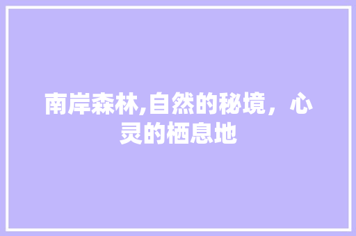 南岸森林,自然的秘境，心灵的栖息地