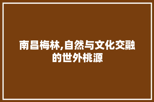 南昌梅林,自然与文化交融的世外桃源  第1张