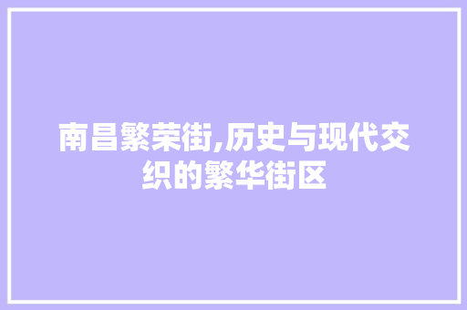 南昌繁荣街,历史与现代交织的繁华街区  第1张