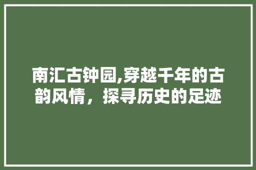 南汇古钟园,穿越千年的古韵风情，探寻历史的足迹