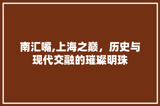 南汇嘴,上海之巅，历史与现代交融的璀璨明珠