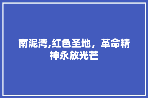 南泥湾,红色圣地，革命精神永放光芒