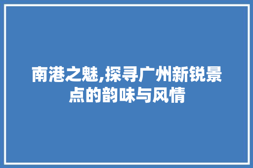 南港之魅,探寻广州新锐景点的韵味与风情