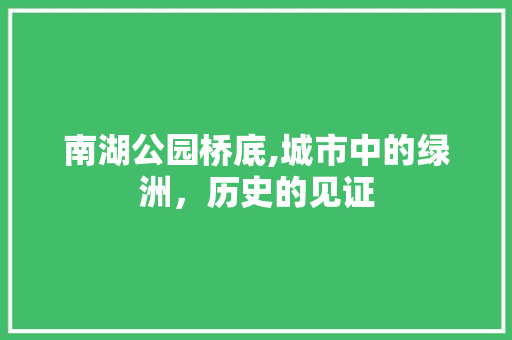 南湖公园桥底,城市中的绿洲，历史的见证