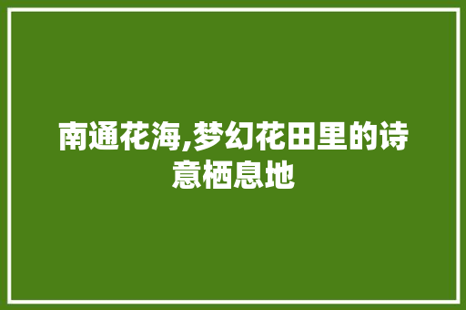 南通花海,梦幻花田里的诗意栖息地