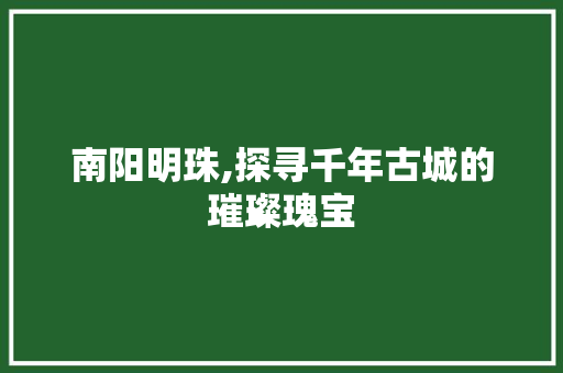 南阳明珠,探寻千年古城的璀璨瑰宝