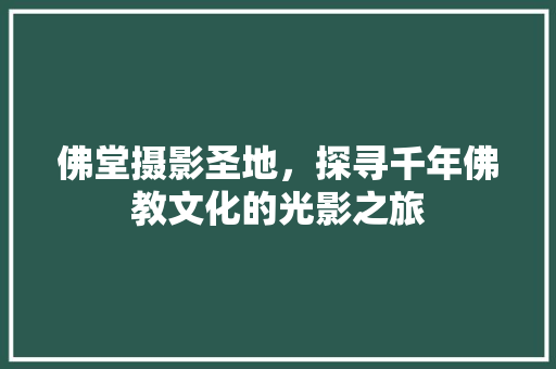 佛堂摄影圣地，探寻千年佛教文化的光影之旅