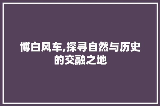 博白风车,探寻自然与历史的交融之地