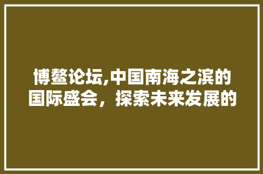 博鳌论坛,中国南海之滨的国际盛会，探索未来发展的智慧之光