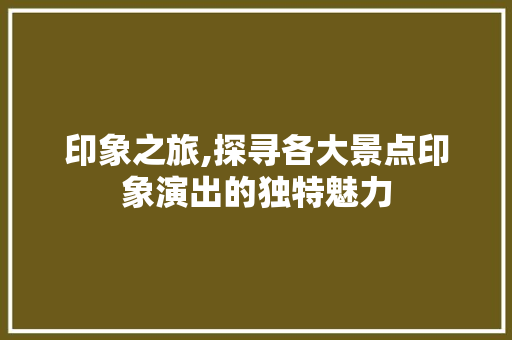 印象之旅,探寻各大景点印象演出的独特魅力