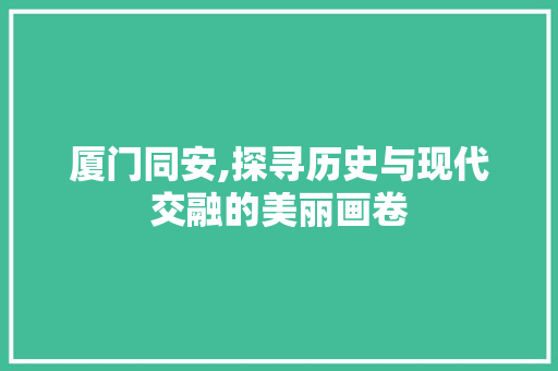 厦门同安,探寻历史与现代交融的美丽画卷