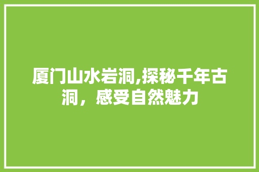 厦门山水岩洞,探秘千年古洞，感受自然魅力