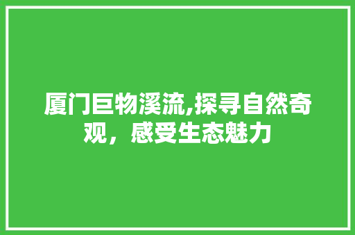 厦门巨物溪流,探寻自然奇观，感受生态魅力