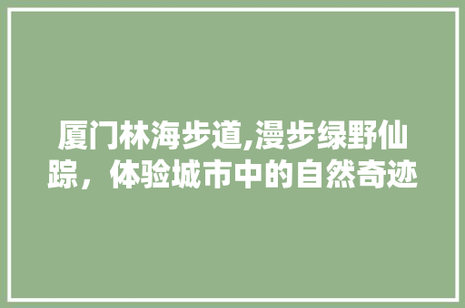 厦门林海步道,漫步绿野仙踪，体验城市中的自然奇迹