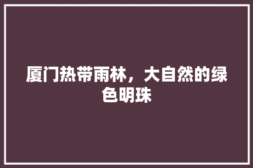 厦门热带雨林，大自然的绿色明珠