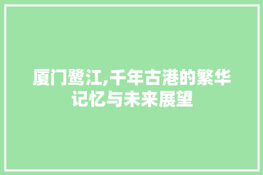 厦门鹭江,千年古港的繁华记忆与未来展望