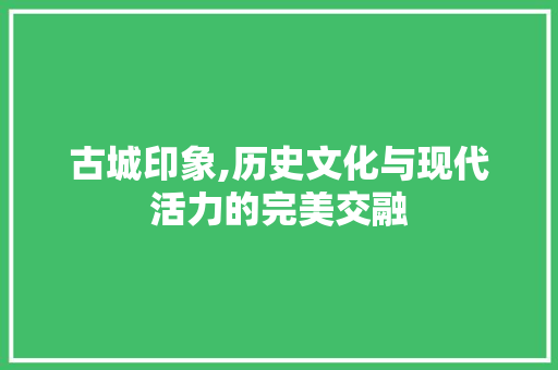 古城印象,历史文化与现代活力的完美交融