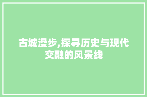 古城漫步,探寻历史与现代交融的风景线