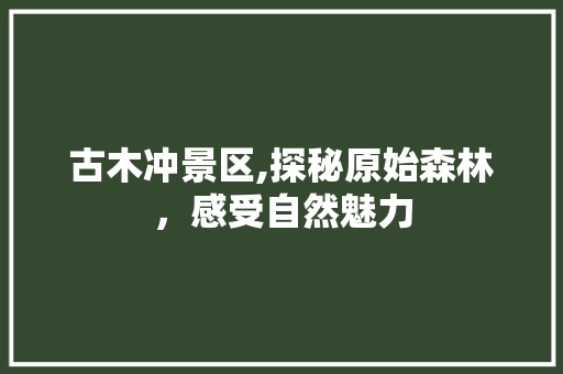 古木冲景区,探秘原始森林，感受自然魅力