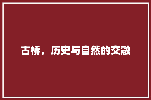 古桥，历史与自然的交融