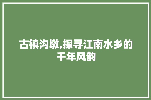 古镇沟墩,探寻江南水乡的千年风韵