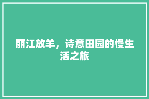 丽江放羊，诗意田园的慢生活之旅