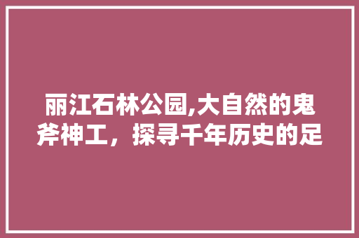 丽江石林公园,大自然的鬼斧神工，探寻千年历史的足迹